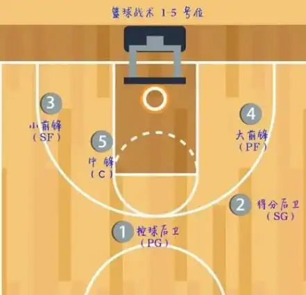 篮球位置的分工都是什么?