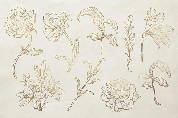 金色花朵轮廓集矢量