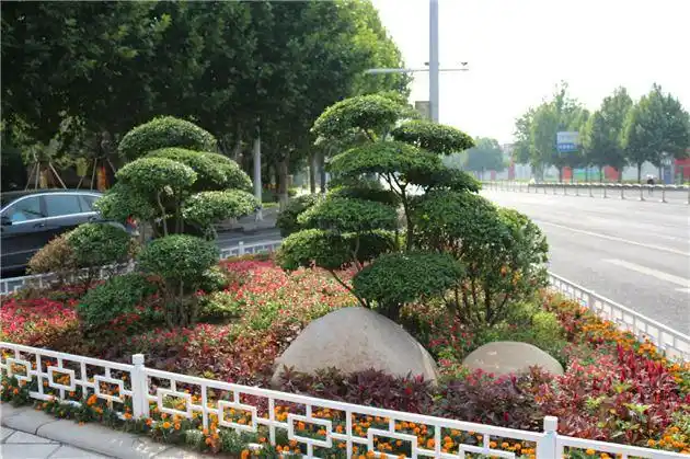 速围观!高新城十座立体花坛将亮相 大象,孔雀等造型萌萌哒