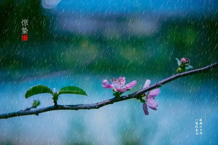 不如送我一场春雨