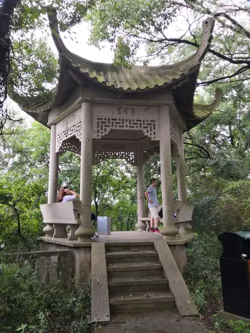 东佘山森林公园(原创11)