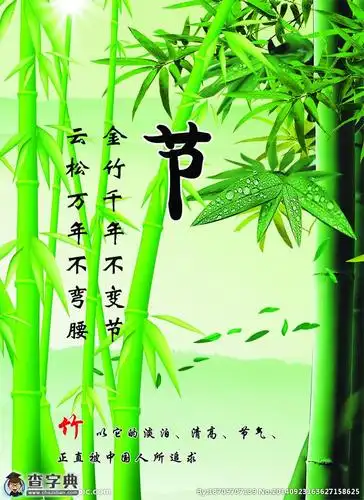 十双筷子牢牢抱成团 向竹子学一些团结精神