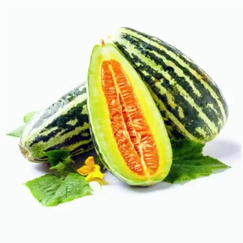 高产杂交盛蜜花皮甜瓜种子薄皮香瓜瓜籽阳台家庭园艺种子