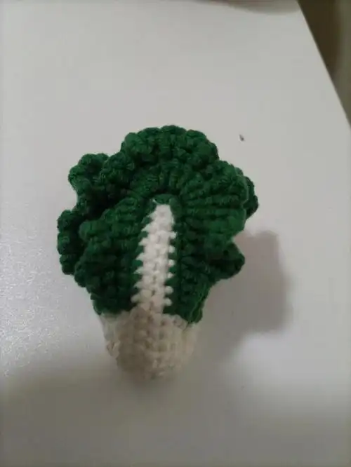 钩织一颗大白菜