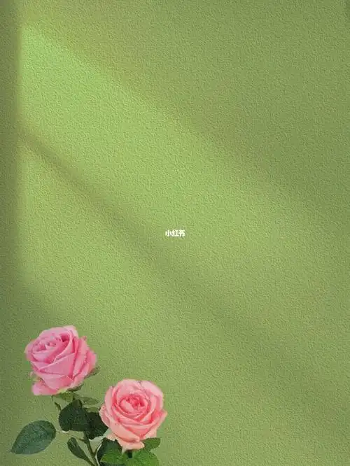 高级感朋友圈背景图|光影底图|书单底图