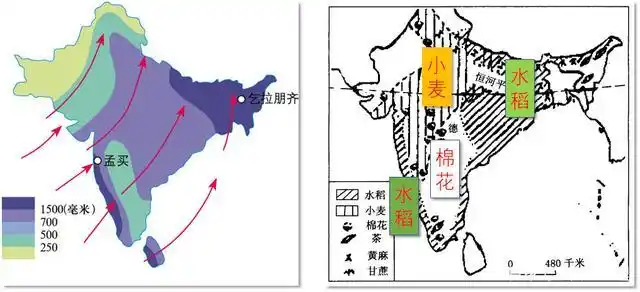 说出南亚地形分布特点和地势特点.