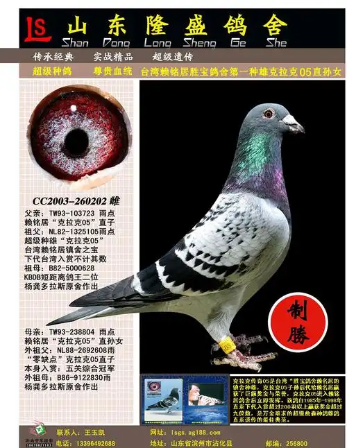 您要找的隆盛鸽舍展厅服务时间已到期