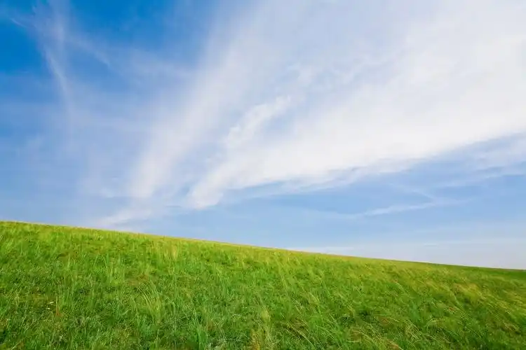 草原上的蓝天白云护眼高清桌面壁纸