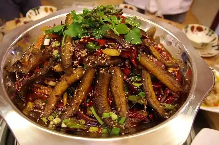 干锅泥鳅---营养价值极高,入口嫩滑,回味无穷.