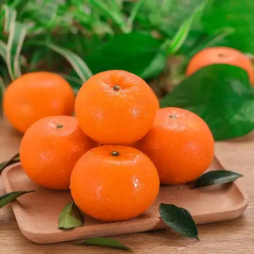 广西武鸣沃柑蜜橘子新鲜水果10斤大果砂糖当季桔子皇帝丑柑橘整箱