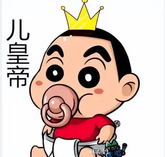 加拿大没收俄运输机给乌克兰证明他是美国的仆从国藩属国儿皇帝