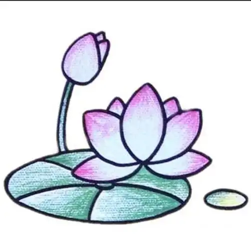 小班美术活动:画荷花