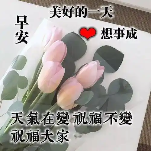 周一清晨祝福语暖心句子送给朋友早安问候语最美动态图片带字