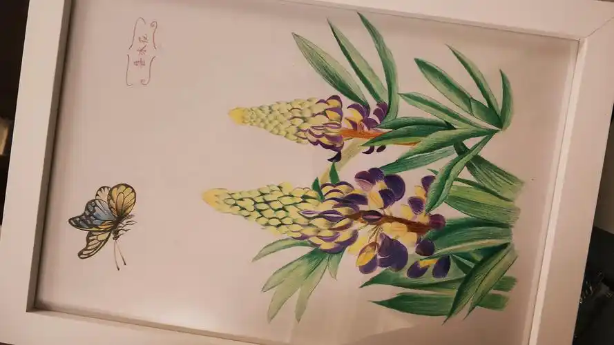 开心手绘:鲁冰花 - 简书