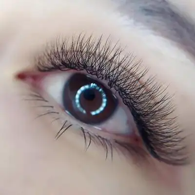 三叶草005嫁接软毛美睫3叶草开花种接超软自然假睫毛