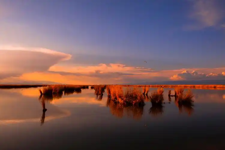 新疆最大的咸水湖艾比湖