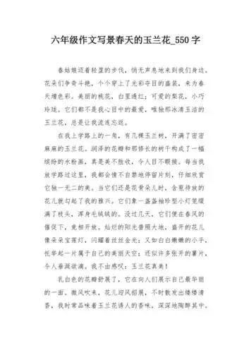 六年级作文写景春天的玉兰花550字