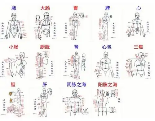什么是经络医学