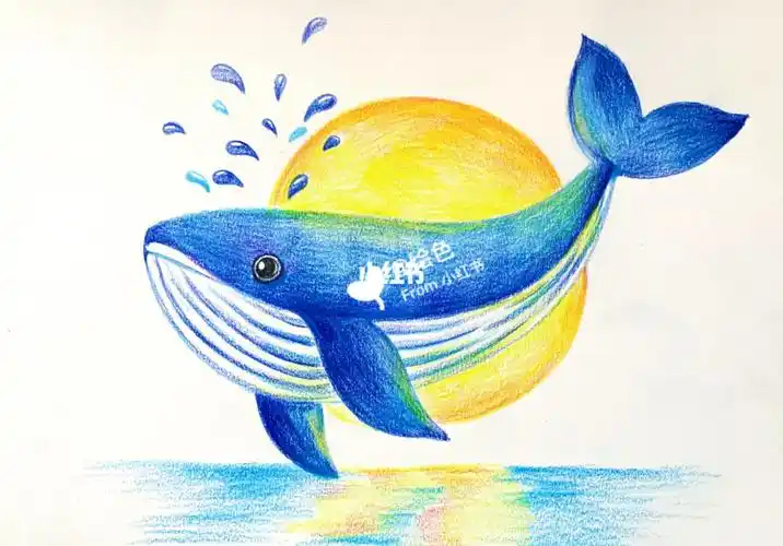 彩铅鲸鱼95,原创小插画一幅,一个小时就潦草结束