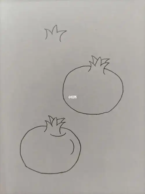 简笔画353石榴