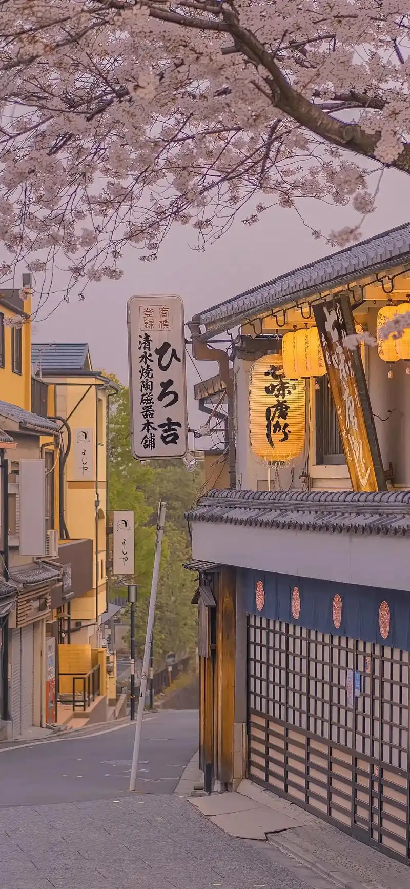 「壁纸」治愈系唯美风景