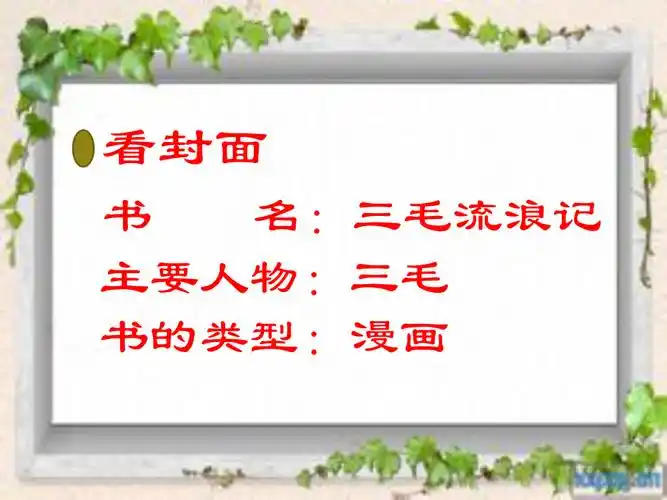 《三毛流浪记》阅读指导课ppt.ppt_第3页