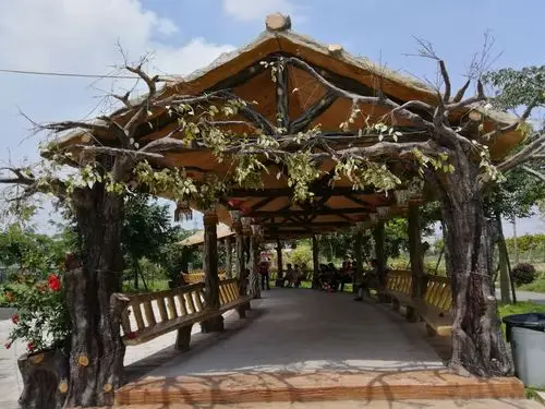 绿梦湿地生态园