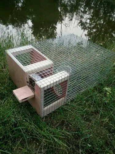 木铁制自动连续鸟笼八哥蜡嘴画眉麻雀打踏拍翻转笼竹制捕鱼笼工具