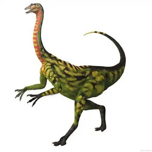 角龙家族的开山鼻祖——鹦鹉嘴龙