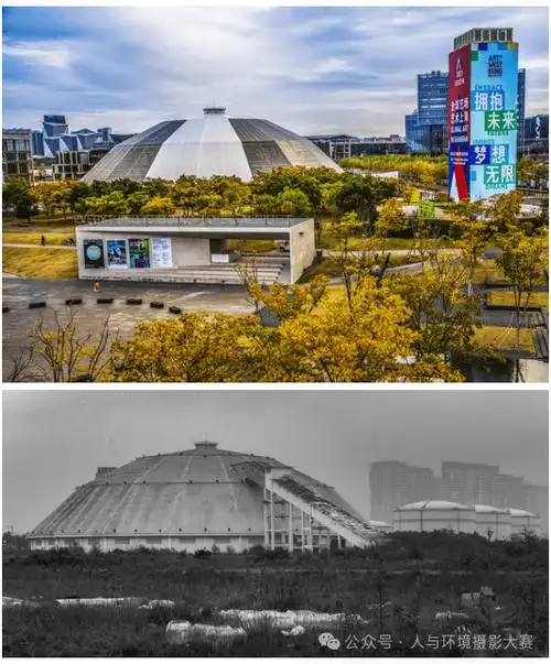 领奖啦!|2024上海城市生态环境影像展入选作品发布