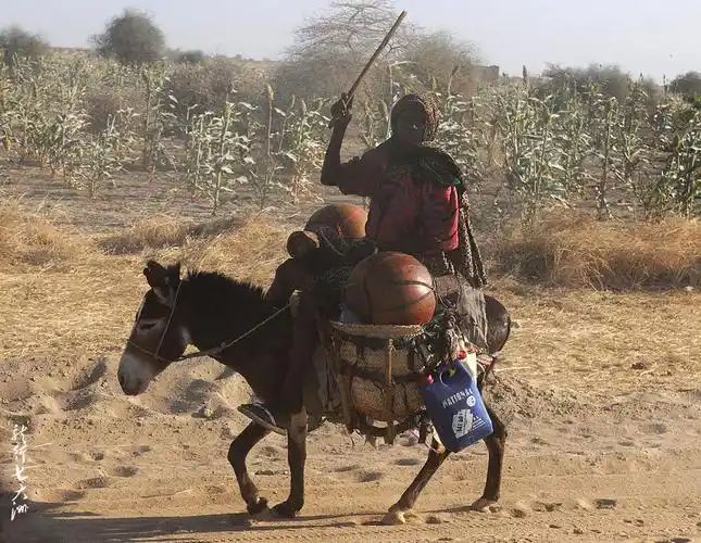 骑驴赶脚的妇女