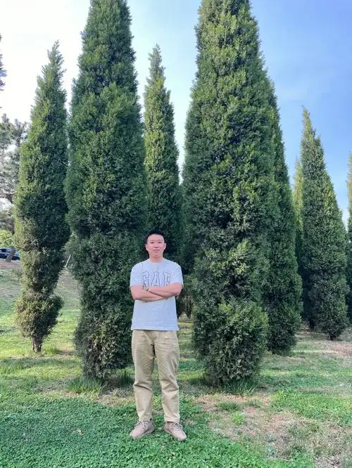 178cm75kg普通男生日常穿搭