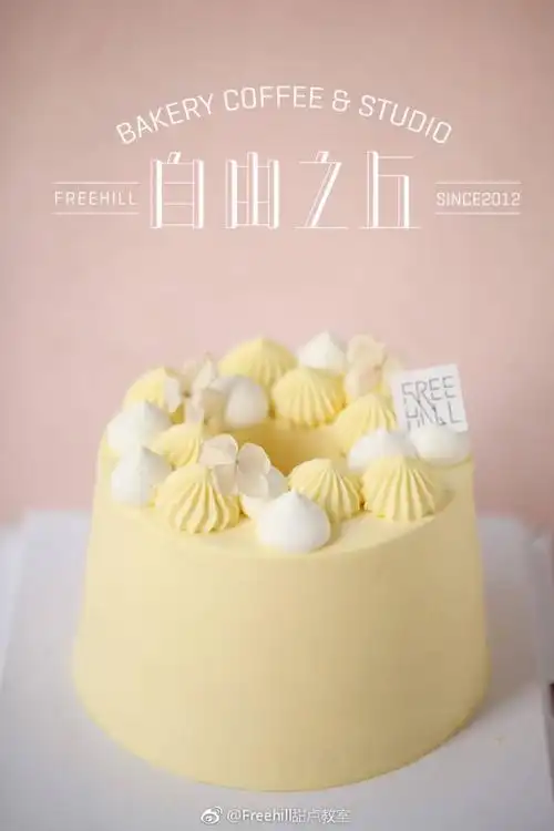 ins风蛋糕·韩系简约款·手绘款蛋糕