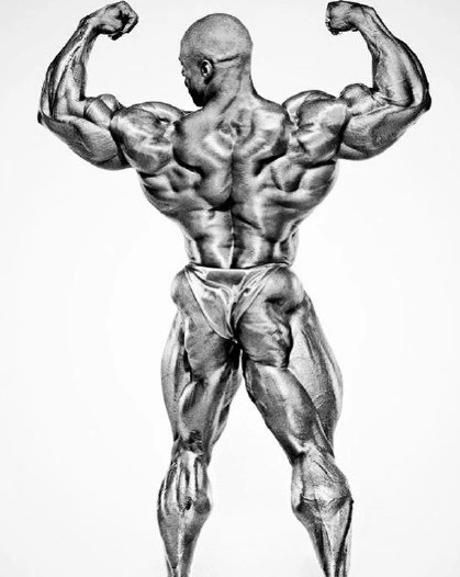 盘点十大健美先生 肌肉才是男人的最爱_比赛