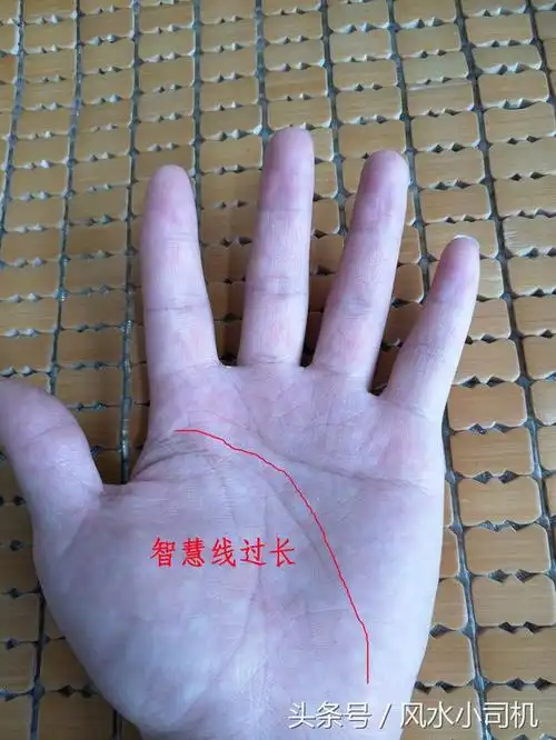 智慧线代表人是否聪明但这条线越长你的麻烦会越多