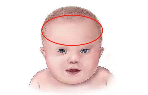 什么样的孩子最有福气