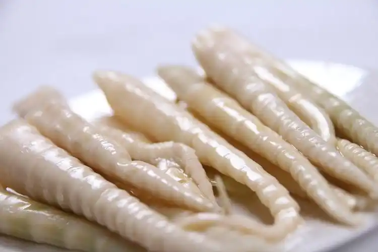 龙游笋竹的做法(龙游笋竹的做法大全)