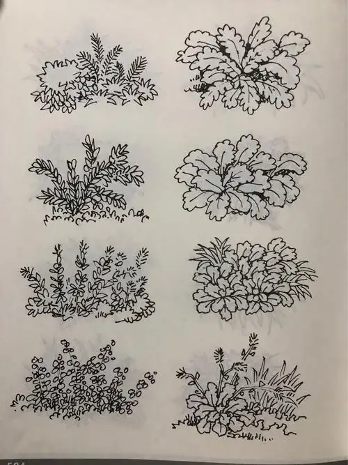 零基础学钢笔画