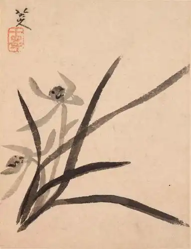 八大山人的花,抒写的是他的性灵!