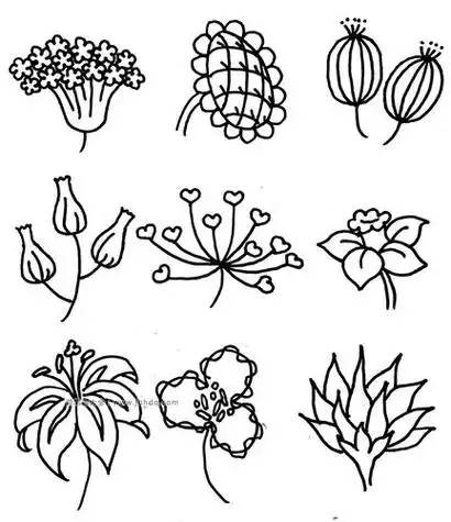 教师节花朵简笔画简单又好看