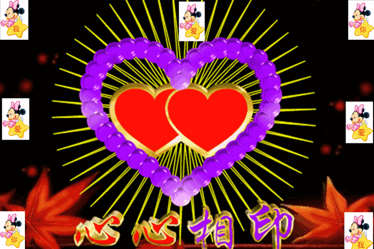 赏心悦目的美景,美图,我的花册!