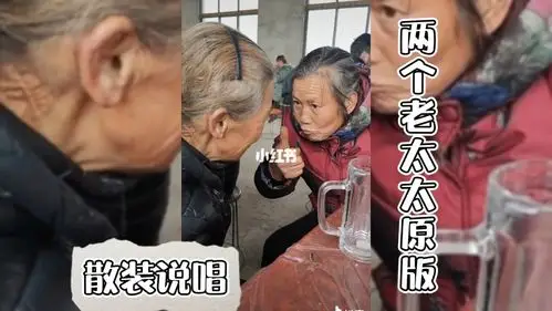 两个老太太说悄悄话原版 全网都在找成功潜入农村家长里短核心内部