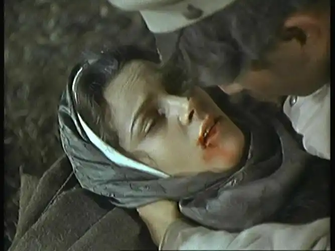 静静的顿河 剧照