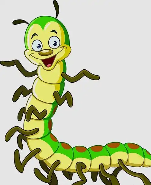 原创一条蜈蚣面对一群美洲大蠊的围攻,能以少胜多吗?