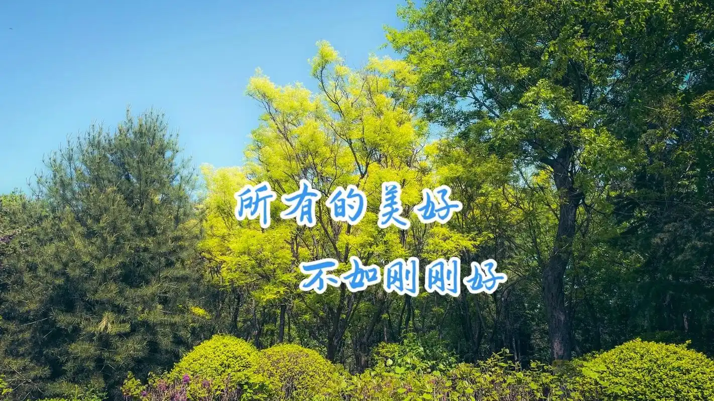 「生活碎片」|所有的美好都不如刚刚好.#生活不会辜负每一个努 - 抖音
