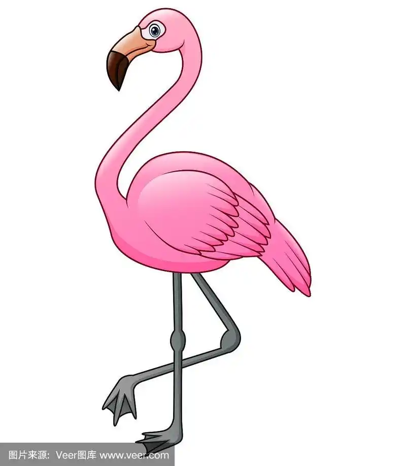可爱的火烈鸟卡通
