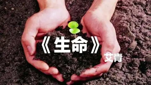 【尚美之声】塔石小学尚美之声第31期《生命》 - 美篇