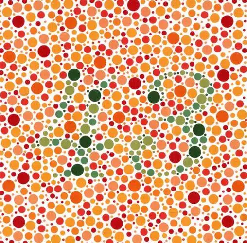 5张色觉测试图,第一张只能看到兔子,那就是绿色色弱(第五版色盲测试图