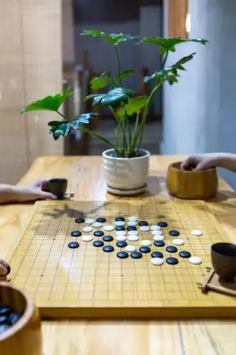 对弈围棋的两个人 白天