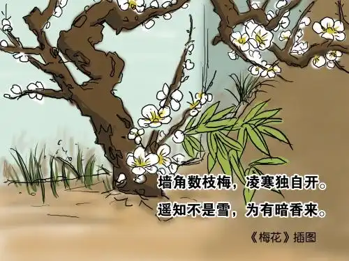 《梅花》插图:墙角数枝梅,凌寒独自开.遥知不是雪,为有暗香来.